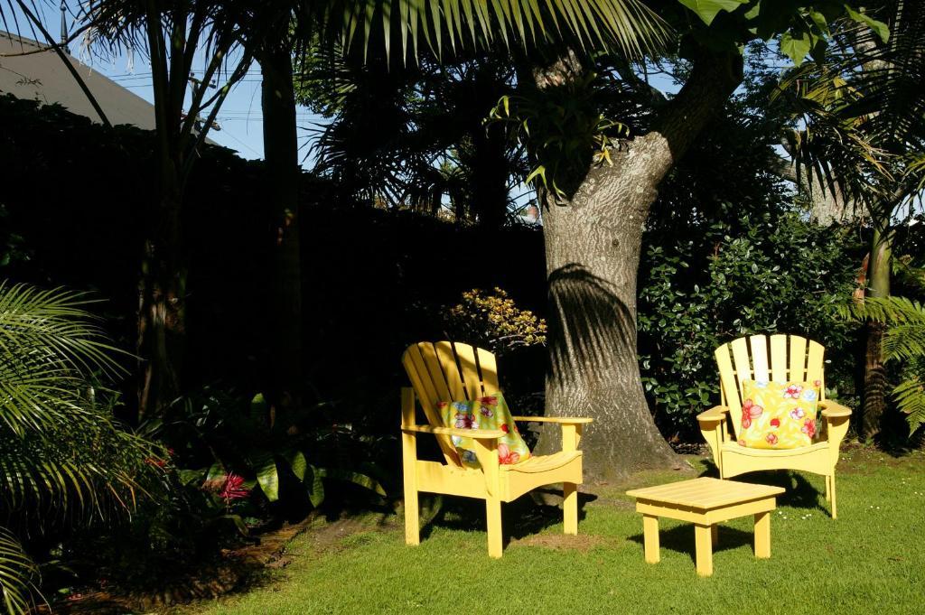 Eden Park Bed And Breakfast Inn Auckland Kültér fotó